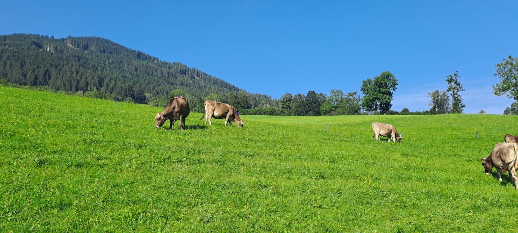 Ferienwohnung Steinernes Meer Maria Alm am Steinernen Meer Luaran gambar